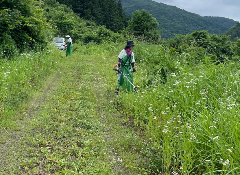 鷹巣山