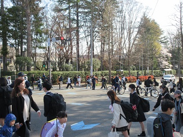 横断歩道を歩行する様子