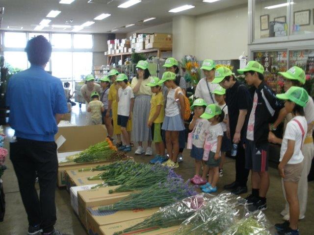 花き仲卸売場の見学