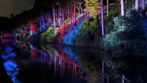 長沼ライトアップ