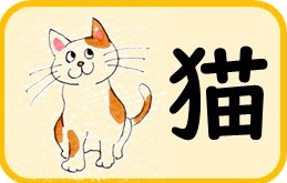 猫画像