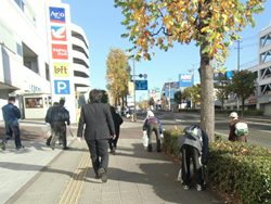 泉中央地区美化推進運動の写真