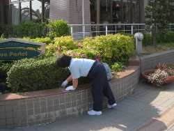 活動の様子の写真