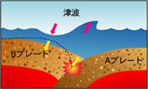 津波発生メカニズムのイラスト2