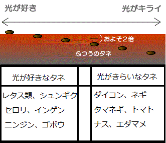 画像/タネもまく深さ