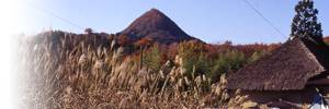 画像/12月の太白山