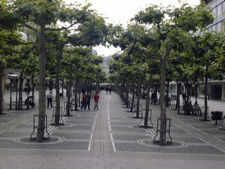 画像/ドイツの街路樹