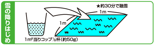 雪の降りはじめ