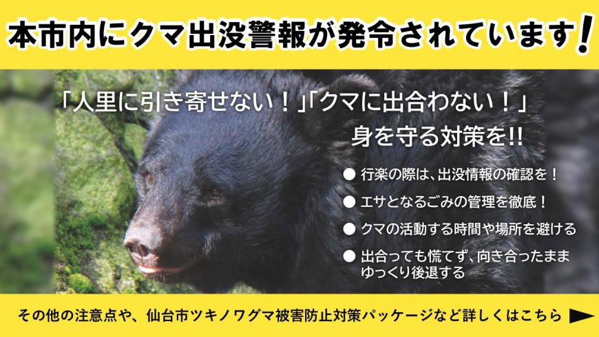 本市内にクマ出没警報が発令されています