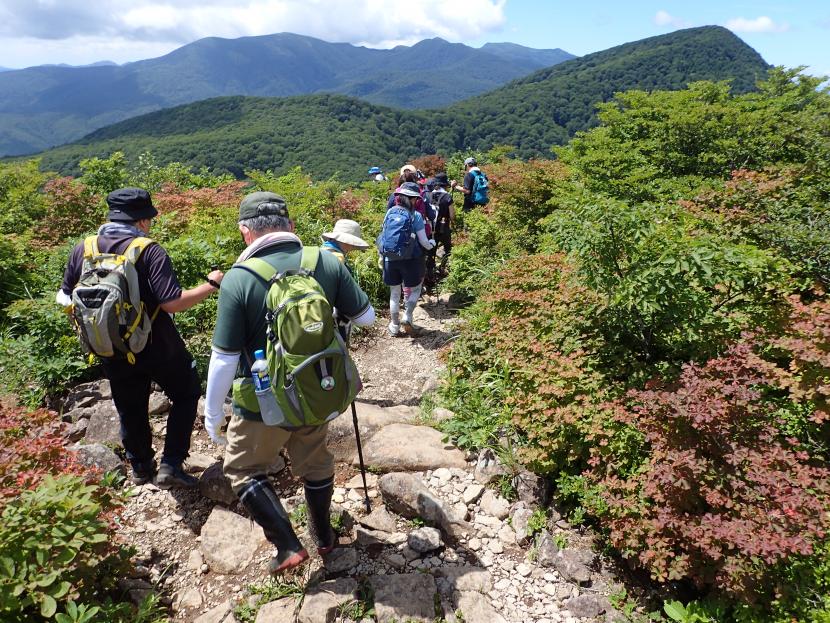 夏季自然観察会