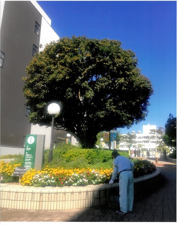 特別賞（泉区賞）　「おもてなしの向う側」