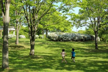 特別賞（泉区賞）　「薫風」