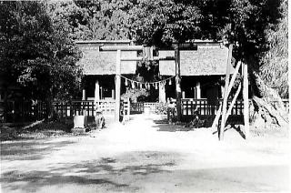 写真／賀茂神社