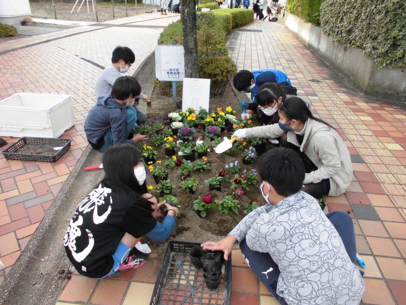 すいせん通り花植えの様子