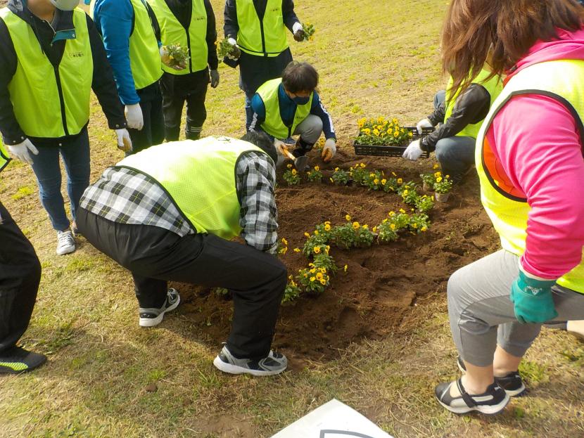 七北田川堤防花植えの様子