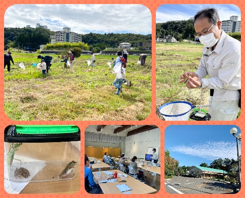 むかっちはかせと秋保の里で秋のいきもの調査