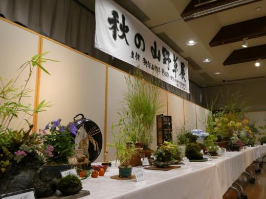 秋の山野草展