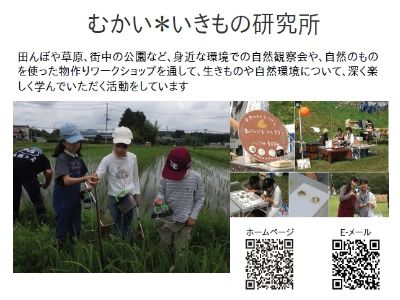 むかい＊いきもの研究所