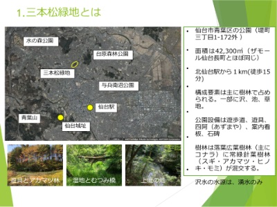 三本松緑地