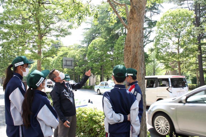 街路樹見学ツアーでは、定禅寺通や西公園通、広瀬通などを巡る