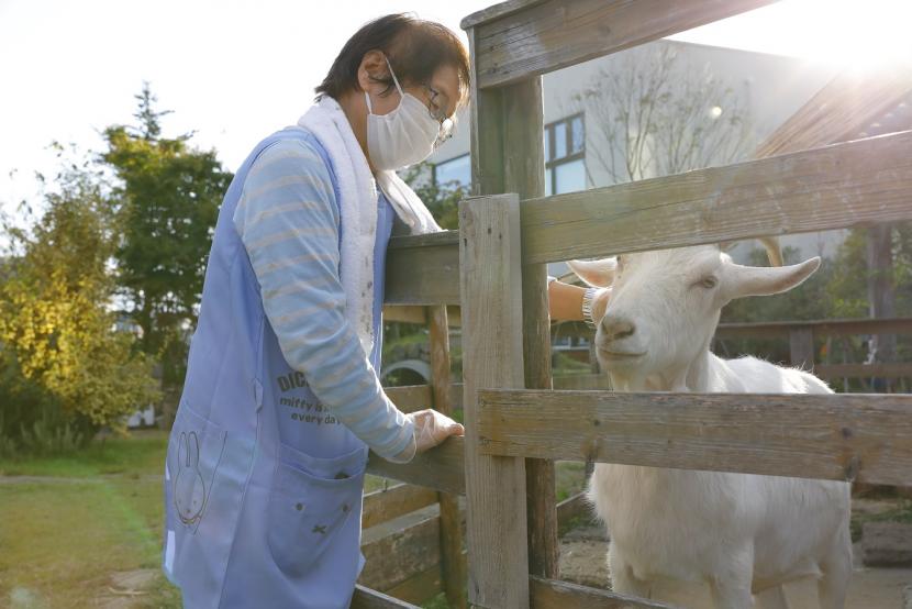 ヤギと触れ合う様子