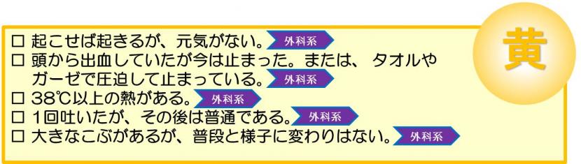 2時間以内をめやすに病院受診するべき頭・首のけが症状