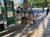 クリーンアップ