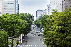 宮城野通