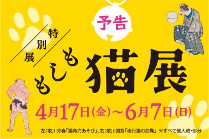 バナー／特別展「もしも猫展」予告