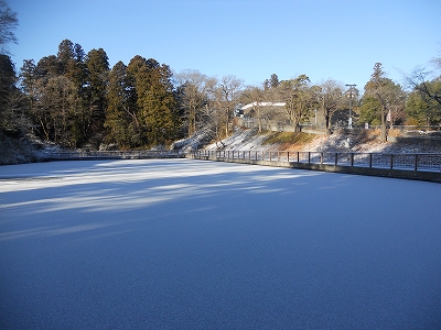 画像／うっすら雪化粧2