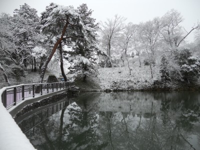 画像／五色沼と雪3