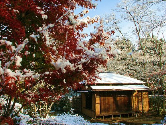 一日だけの、雪の残月亭