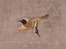 画像／花鳥図屏風（ジョウビタキのオス）