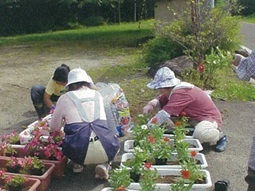 植栽による景観形成の画像