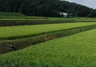 写真/泉区福岡「福岡上ノ原集落」