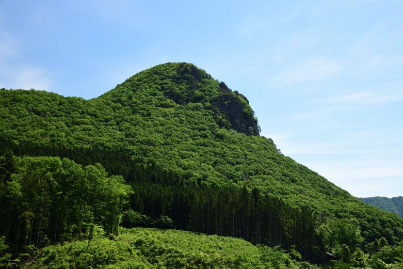 ゴリラの横顔のように見える