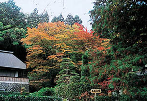 大梅寺境内の紅葉の写真