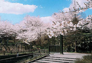 公園東側の正面入り口の写真