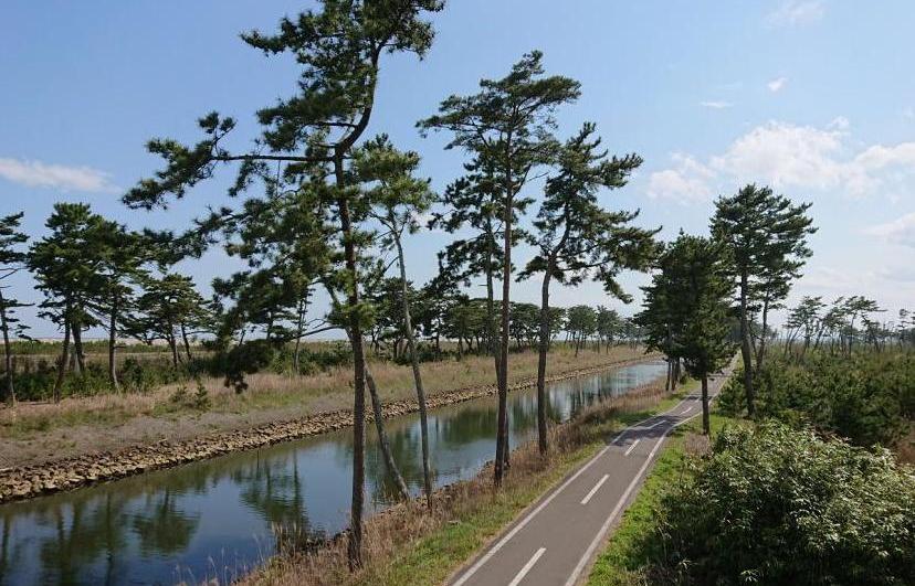 運河沿いのサイクリングロード