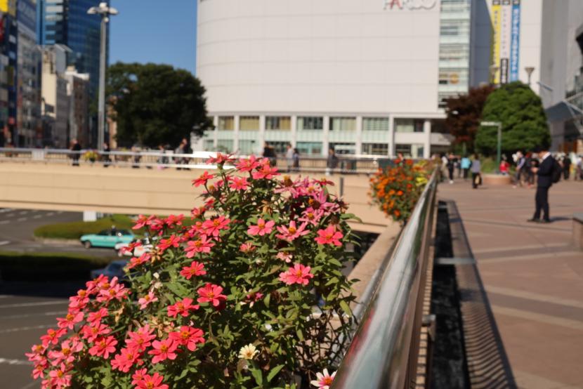 仙台駅前ポット