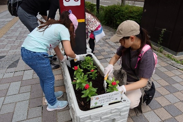 6月3日に行った花植えの様子