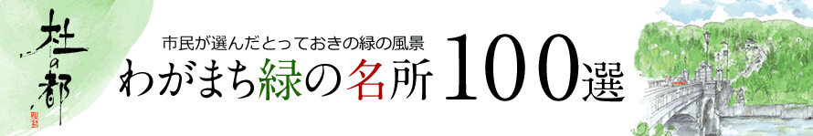 杜の都 市民が選んだとっておきの緑の風景 わがまち緑の名所100選