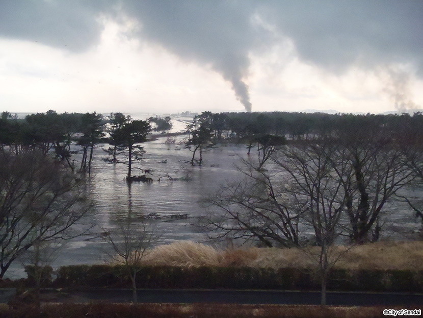 画像：辛じて浸水を免れた海岸公園冒険広場の築山から