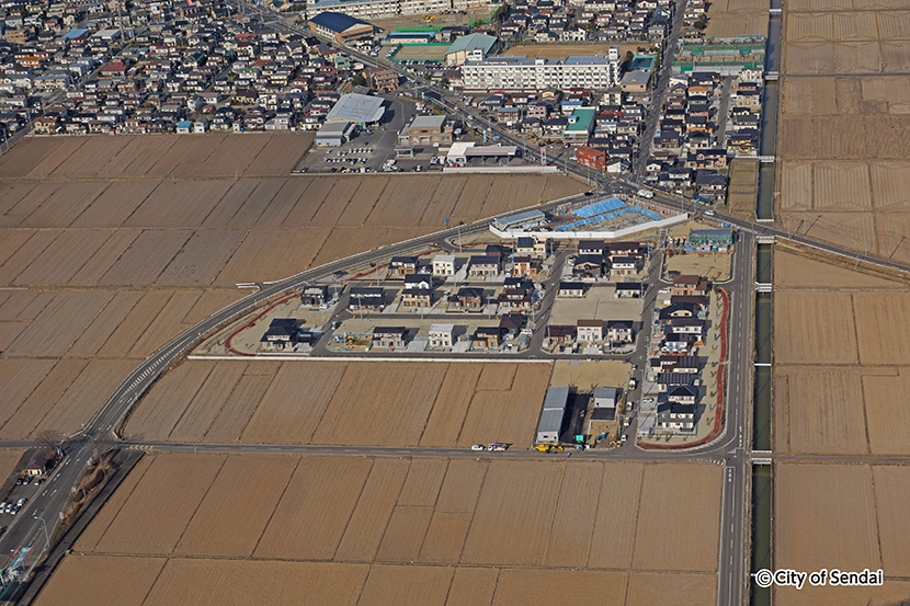 写真：六郷地区の航空写真