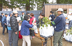 植木市の様子