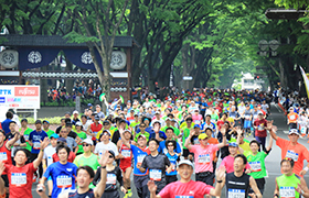 仙台国際ハーフマラソン大会の様子