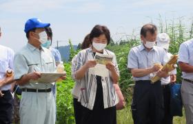 視察における市長の様子2