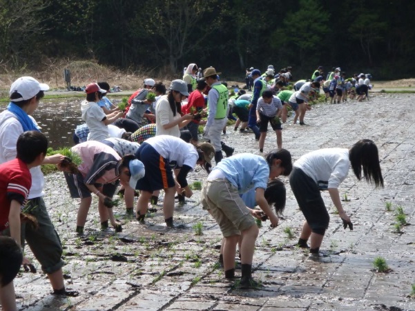 画像/農家民泊、田植え体験。場所は最上町