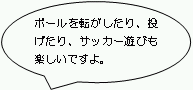 ボールを転がしたり、投げたり、サッカー遊びも楽しいですよ。