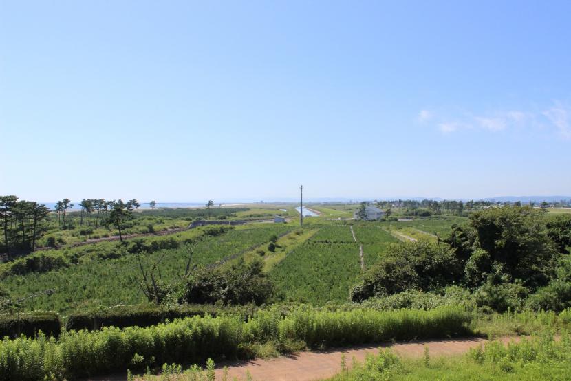 海岸公園冒険広場から見る貞山堀